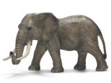 African Elephant, Male (with Tag!)