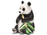 Giant Panda, Eating Bamboo