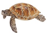 Sea Turtle