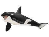 Killer Whale - Orca