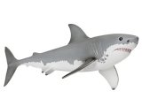 Great White Shark