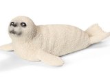 Seal Cub