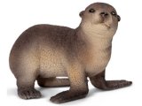 Sea Lion Cub