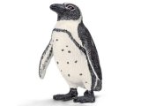 African Penguin