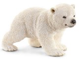 Polar Bear Cub, walking