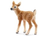 White Tailed Deer, Calf