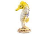 Sea Horse