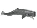 Sperm Whale