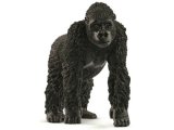Gorilla, Female