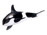 Killer Whale Calf (New with Tag!)
