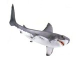 Great White Shark