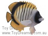 Lined Butterfly Fish (with Tag!)