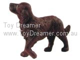 Irish Setter