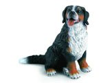 Bernese Mountain Dog, sitting