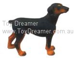 Doberman