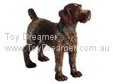 German Wirehaired