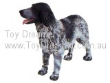 Longhaired Pointer