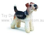 Fox Terrier (tiny rub)