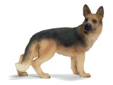 German Shepherd Female