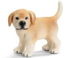 Golden Retriever Puppy, standing