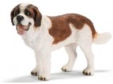 St Bernard, Male