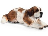 St Bernard, Female