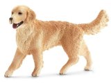 Golden Retriever Female