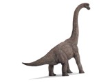 Brachiosaurus (Tiny rub. Tag, booklet & Figure!)