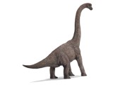 Brachiosaurus (with Tag!)