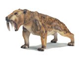 Prehistoric Mammal Smilodon