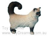 Burmese Cat, standing