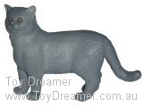 British Blue Cat, standing