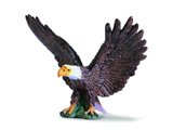 Bald Eagle Spread Wings