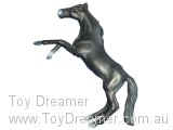 Ingo Koblischek Stallion (missing ear tip!)