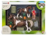 Trakehner Set