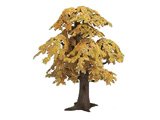 Tree - Oak Tree, small