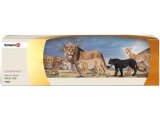 Scenery Pack: Big Cats Set
