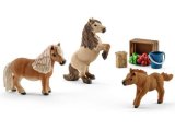 Miniature Shetland Pony Family