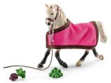 Arab Mare with Blanket