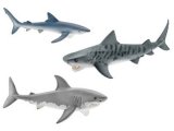 Shark Set