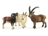 Mountain Animals (Mouflon, Mountain Goat and Ibex)