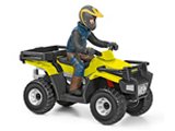 Quad Bike with Driver