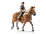 Recreational Rider on Horse