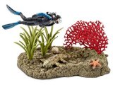 Coral Reef Diver