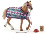 English Thoroughbred with Blanket