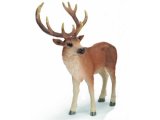 Special Edition Golden Tipped Stag