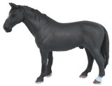 Special Edition Hanoverian Stallion