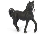 Special Edition Arab Stallion